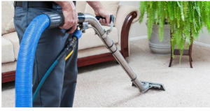 PlatinumCleanAdelaide business carpet cleaning