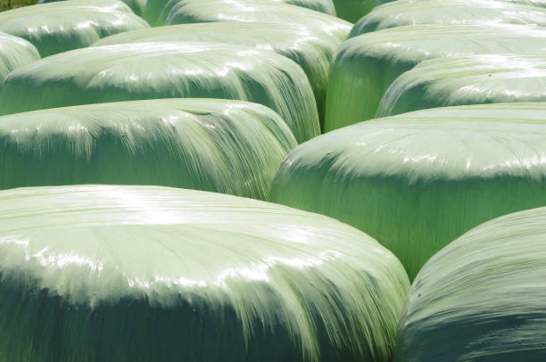 silage film