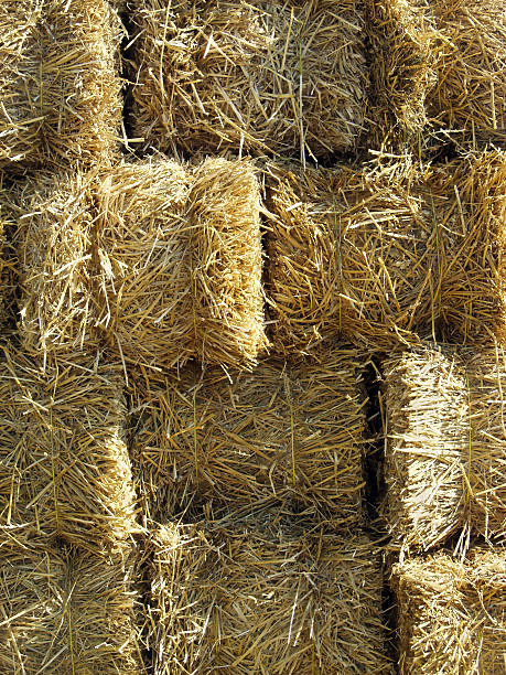 Baler Twine The Environmental Impact of Disposal in Australia and What to Do About It