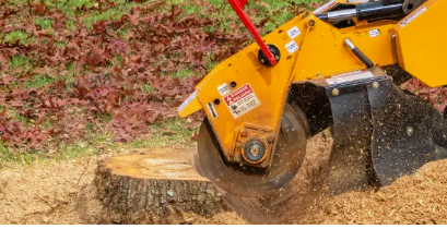 Stump Removal Adelaide Hills’ Eco-Friendly Solutions for Your Property