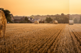 Baling Twine’ Tension Standards for Interstate Hay Transport in Australia